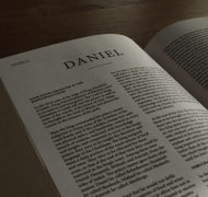 Daniel bible commentary