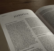 Joshua bible commentary