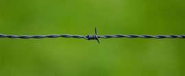 Barbed wire 250822 620