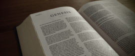 Genesis bible commentary