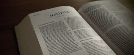 Joshua bible commentary